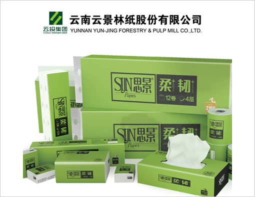 云景林紙品牌營(yíng)銷策劃案